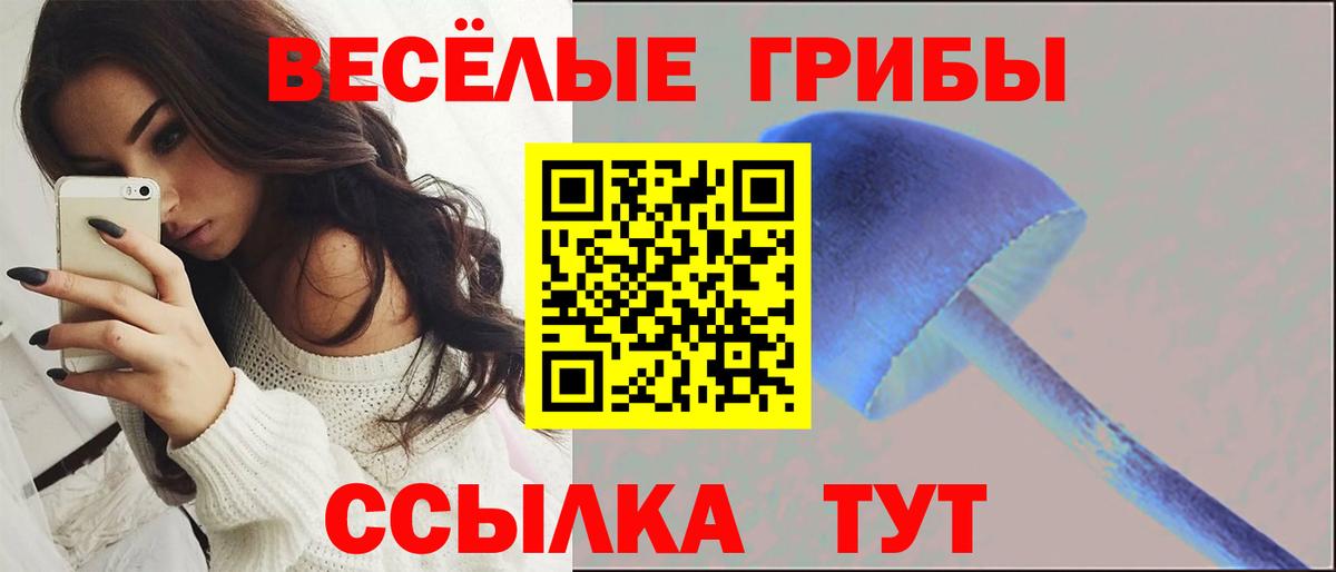 Галлюциногенные грибы Psilocybine cubensis  Псилоцибиновые грибы GOLDEN TEACHER  Вход с VPN  Кимовск 